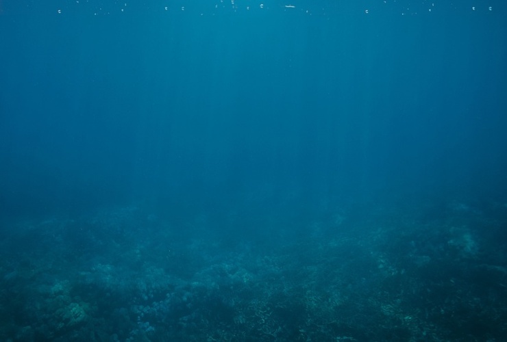 Illustrazione delle profondità dell'oceano (Pixabay FOTO) - www.sciencecue.it