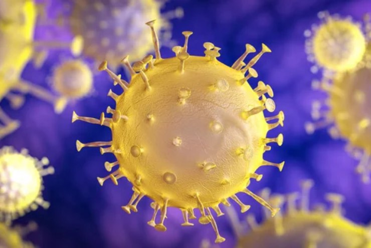 Virus