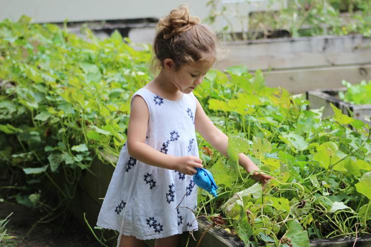 Illustrazione di una bamina mentre fa giardinaggio (pexels FOTO) - sciencecue.it
