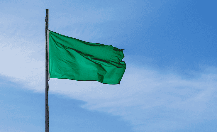 Bandiera verde