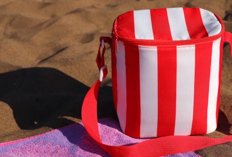 Illustrazione di una borsa termica (Canva FOTO) - sciencecue.it