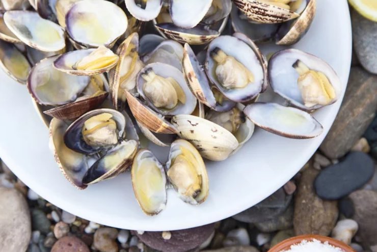 Piatto di vongole