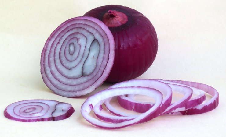 Cipolla