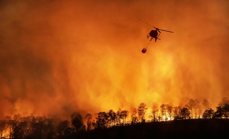 Incendio bosco