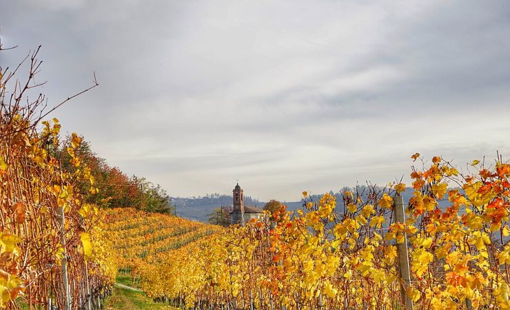 Mount Lupo, Langhe