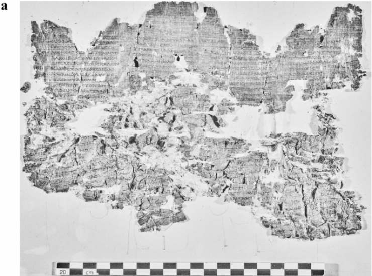 Illustrazione dei frammenti di un papiro (Ceccarelli et al., 2025 FOTO) - sciencecue.it