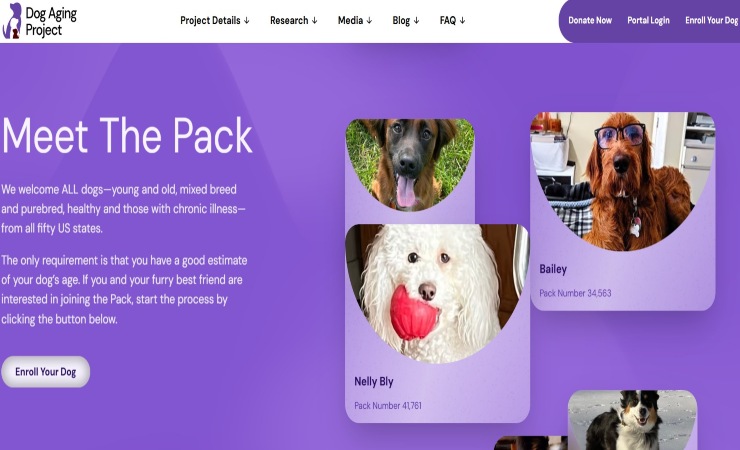 Dog Aging Project schermata