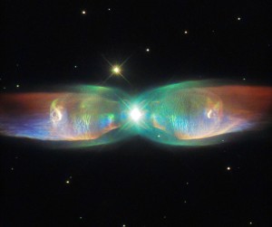 Farfalla Cosmica