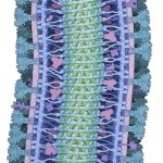 Virus Ebola
