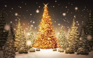 Albero di Natale