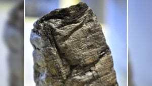 Papiri di Ercolano letti con tomografia assiale computerizzata
