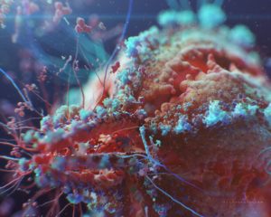 HIV Virus