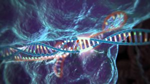 Ingegneria genetica e nuovi orizzonti