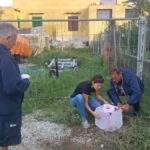 Ricercatori impegnati a preparare le trappole