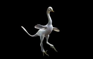 Halszkaraptor