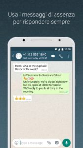 WhatsApp Business (1)