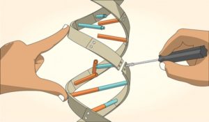 Editing DNA