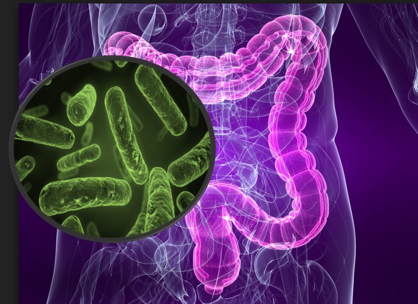 una correlazione tra batteri e malattie autoimmuni: alla ricerca di una cura efficace