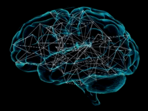 Deep learning al servizio della biologia