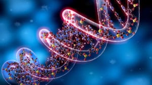 cellule staminali rigenerazione tessutale