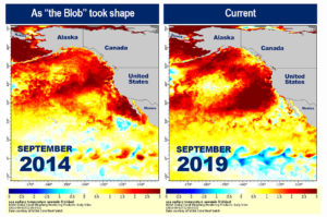 ondata acqua calda