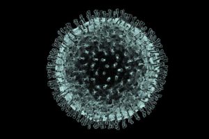 coronavirus modello matematico