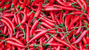 Il peperoncino e la scala scoville