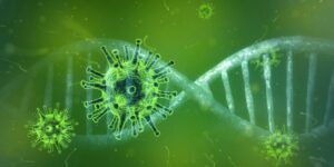 Una molecola naturale per combattere il coronavirus
