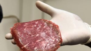 carne prodotta in laboratorio