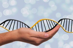 TALEN, le forbici molecolari più efficienti di Crispr-Cas9