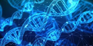 Il DNA