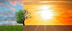 Riscaldamento globale: il 2020 è stato il secondo anno più caldo di sempre