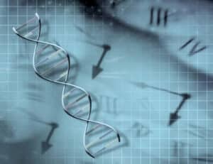 ciclo vitale, biologia, animali, orologio, anellidi, vermi marini, invertebrati, Dna, sequenza geni, scoperta, specie, evoluzione, tronco, larve, sviluppo, decodifica, Science Close-up Engineering