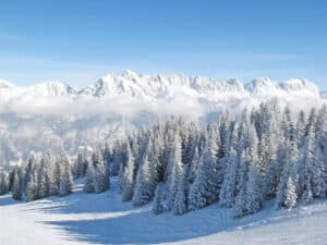 neve sulle Alpi, ricerca, studio, Alpi, montagna, neve, manto nevoso, ginepro, passato, copertura nevosa, clima, fusione, temperatura, cambiamento climatico, crisi climatica, news, Science Close-up Engineering