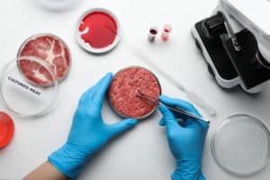 carne coltivata