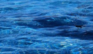 Illustrazione di acqua contaminata (Pixabay FOTO) - www.sciencecue.it