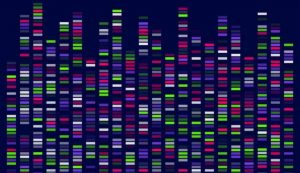 Analisi della sequenza genomica