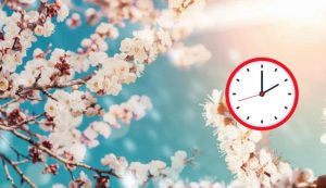 Arrivo della primavera (Depositphotos foto)