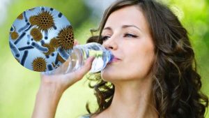 Acqua e germi