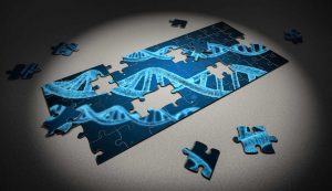Illustrazione di un genoma incompleto (Pixabay FOTO9 - www.sciencecue.it