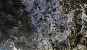 Rocce calcaree