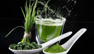 Spirulina
