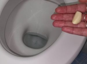 Spicchio di aglio nella tazza
