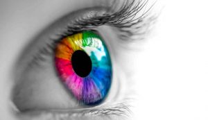 Colore occhi