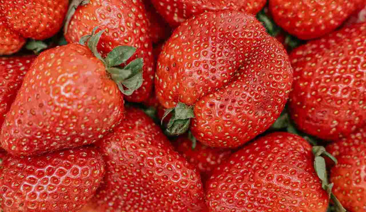 Illustrazione di alcune fragole (Pexels FOTO) - www.sciencecue.it