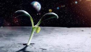 Vita su altri pianeti