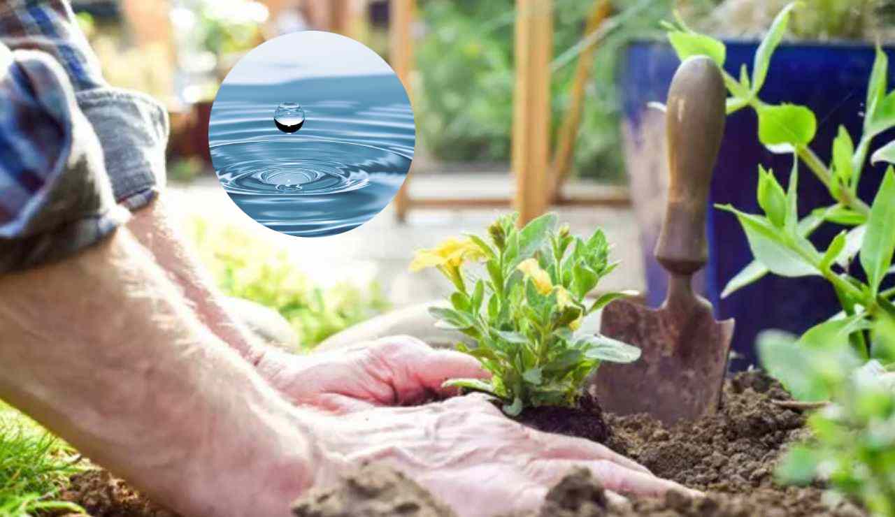 Giardino e acqua (Depositphotos foto)