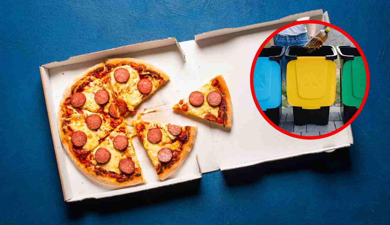 Cartone della pizza