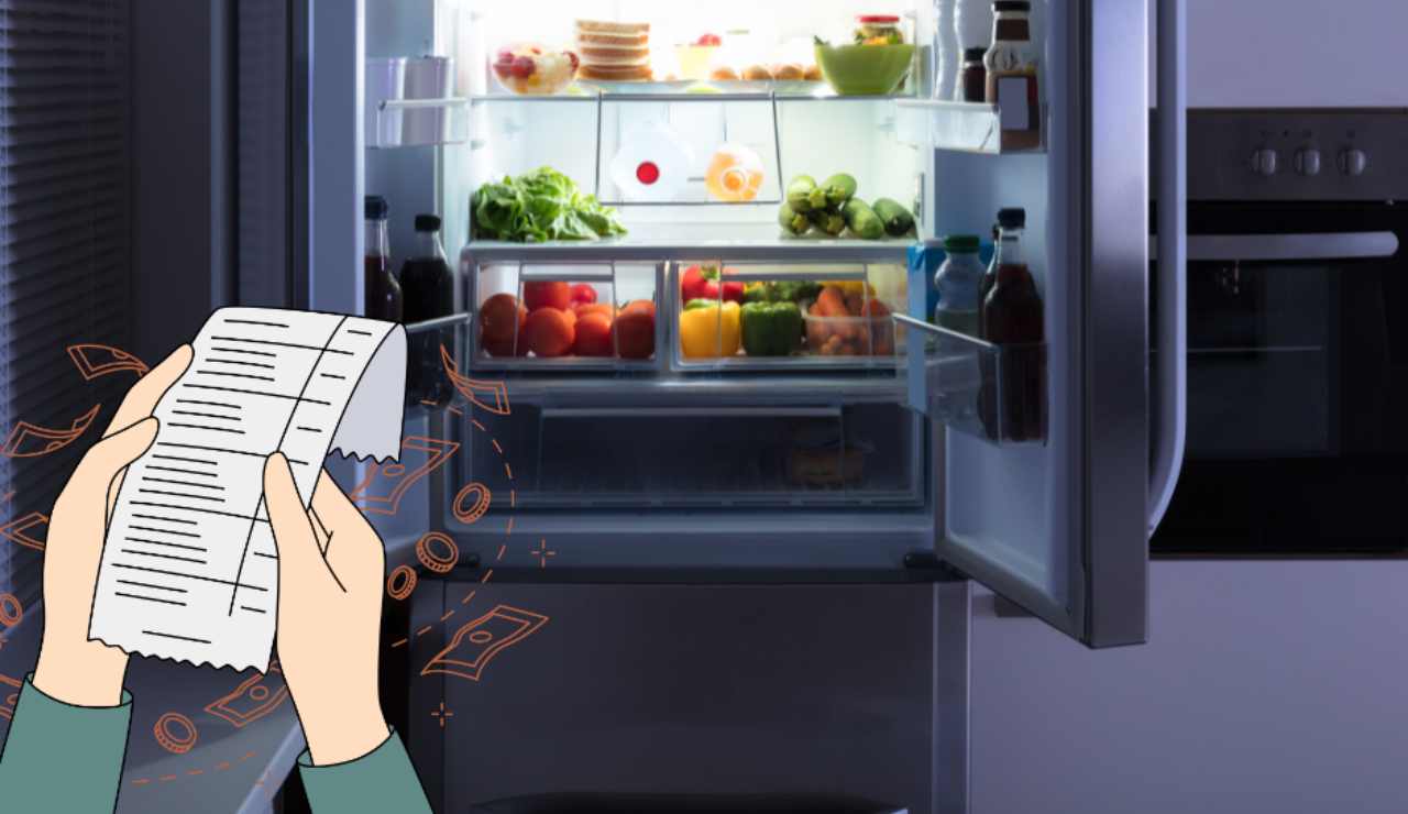 Illustrazione dei consumi del frigo (Canva FOTO) - sciencecue.it