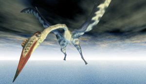 Illustrazione di uno pterosauro (Canva FOTO) - sciencecue.it